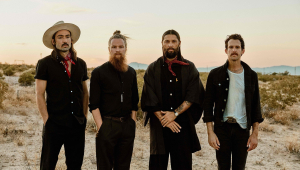 Image of Grizfolk